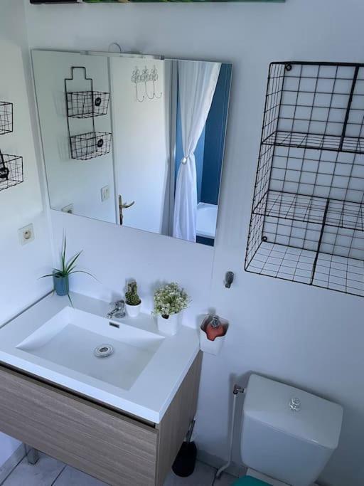 Appt Lumineux, Piscine, Wifi Montpellier Exterior foto